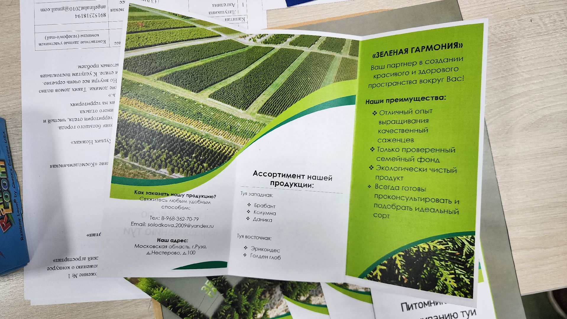 Руза, агростартап, нестеровский лицей, Бизнес-проект,