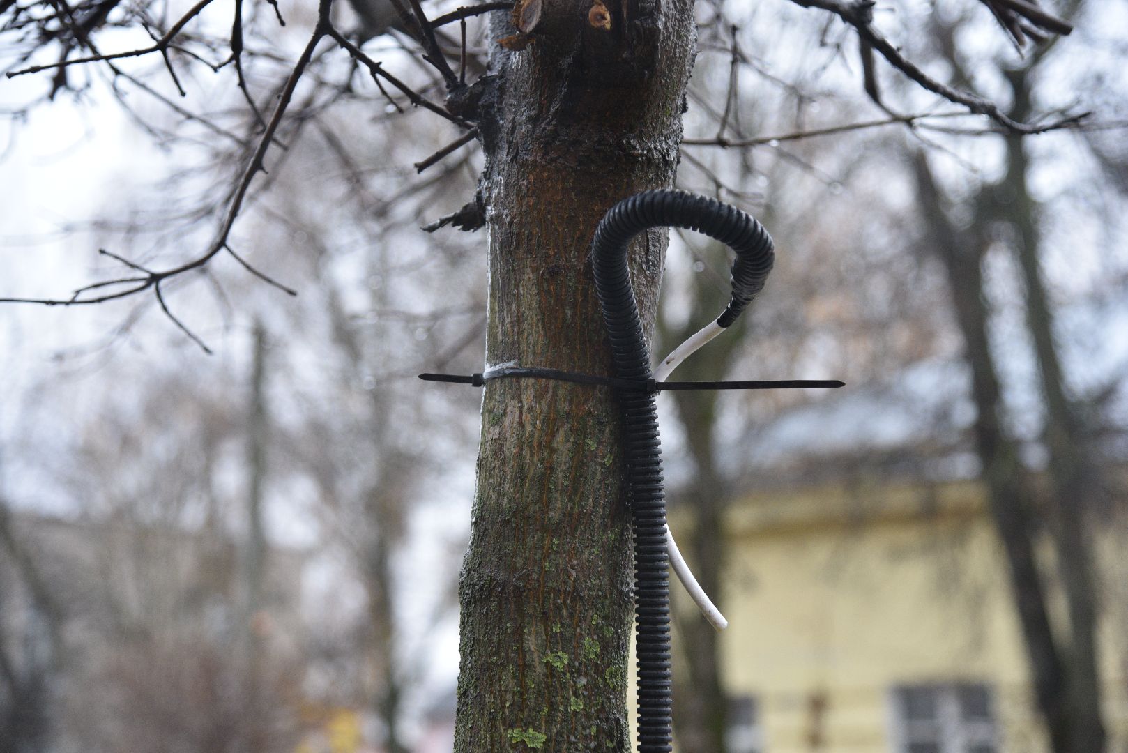 лотошино, благоустройство, новый год,