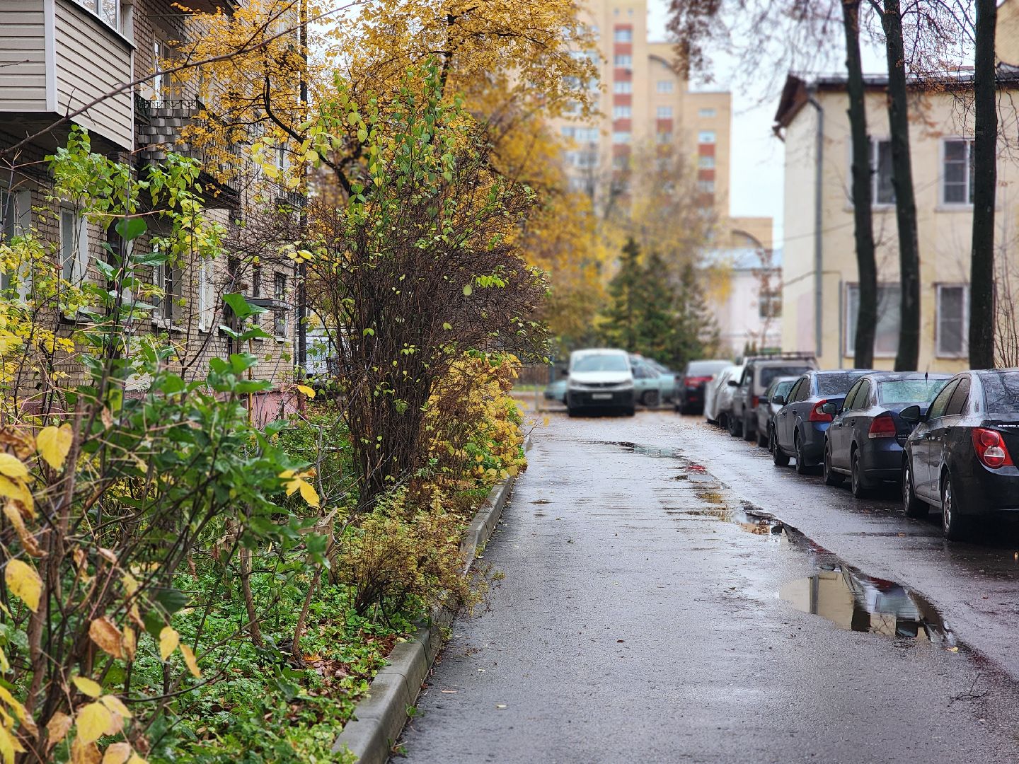 королёв, выездная администрация , встреча жителей с властью ,