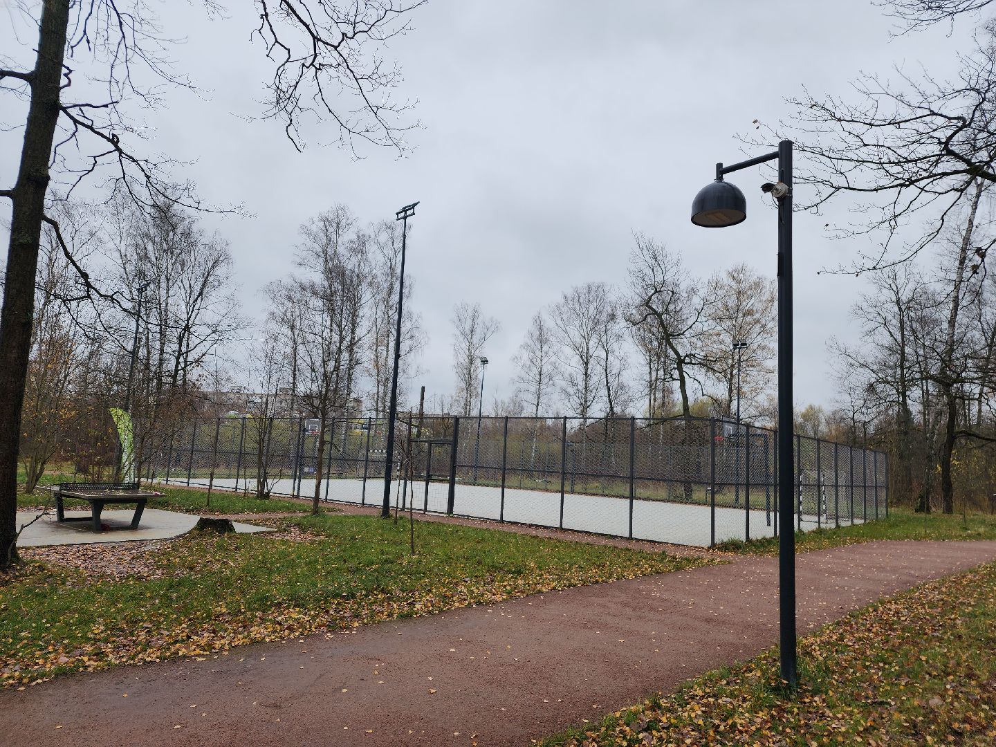 фрязино, видеокамеры системы безопасный регион, видеонаблюдение, лесопарк,