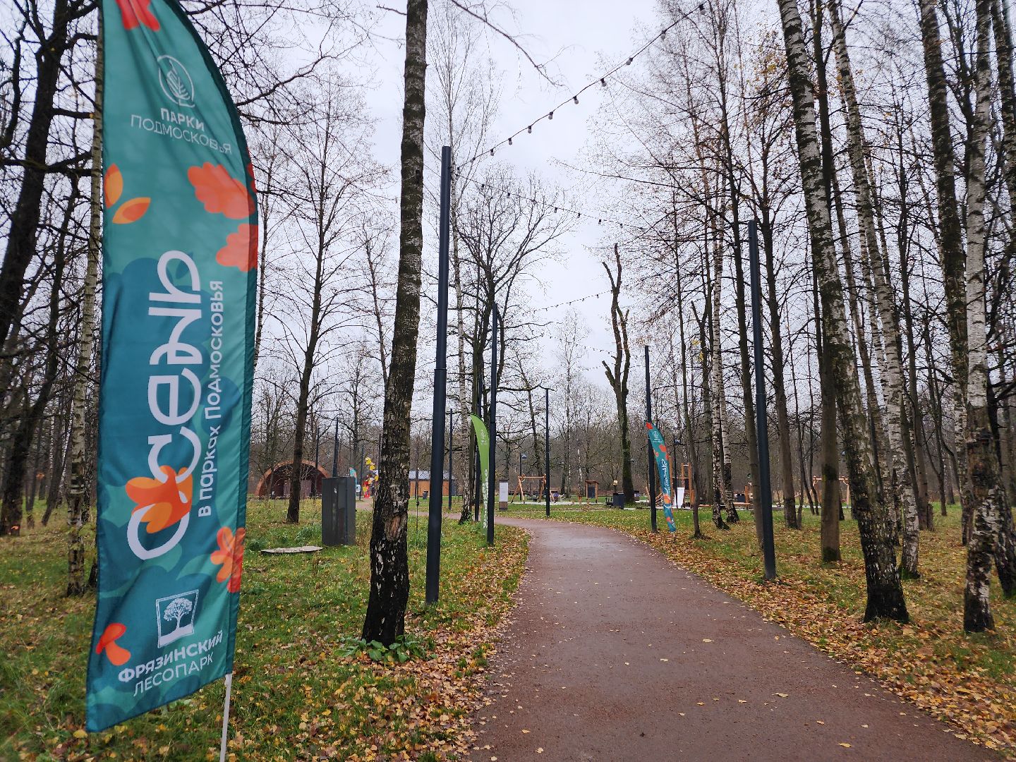 фрязино, видеокамеры системы безопасный регион, видеонаблюдение, лесопарк,