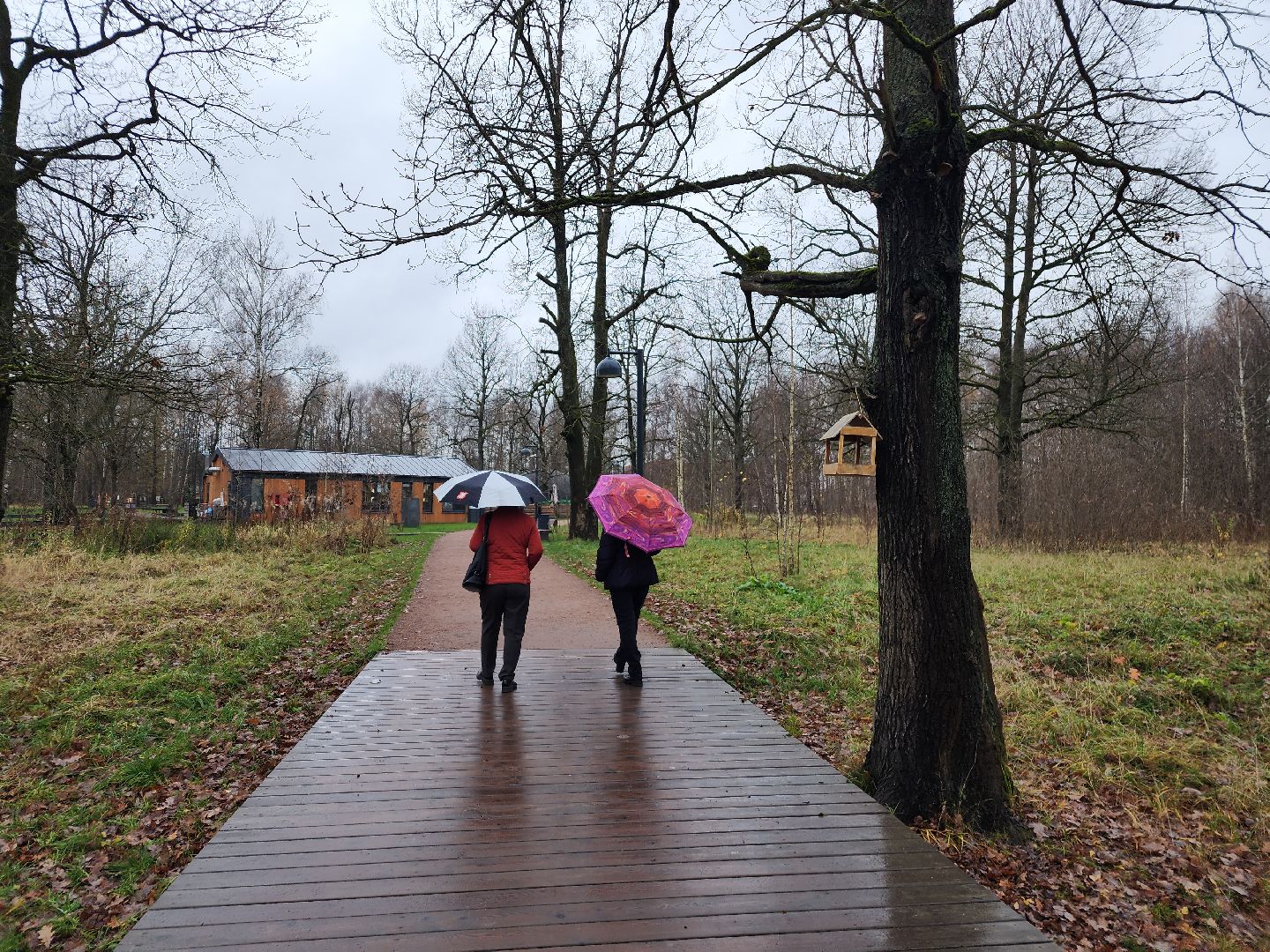 фрязино, видеокамеры системы безопасный регион, видеонаблюдение, лесопарк,