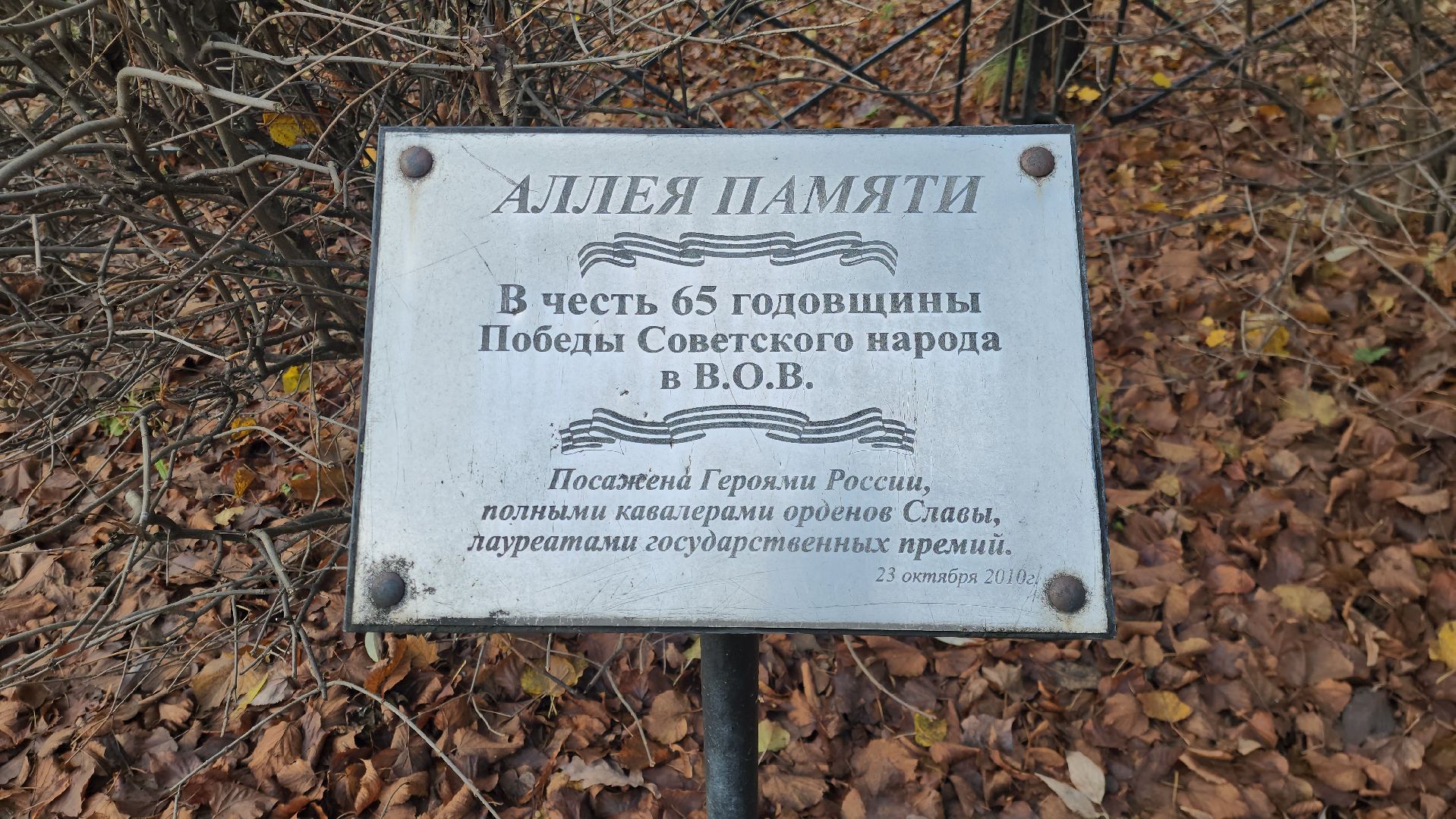 Химки, митинг памяти, История России,