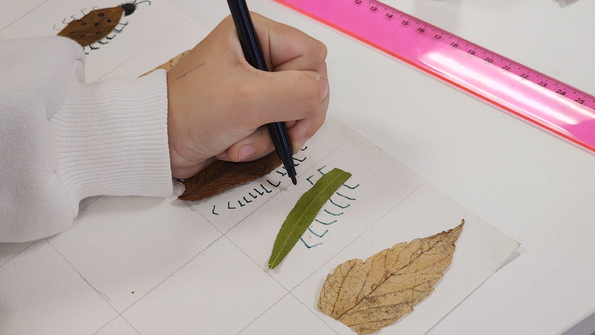 дети-инвалиды, дети , реабилитационный центр, реабилитация, лосино-петровский,