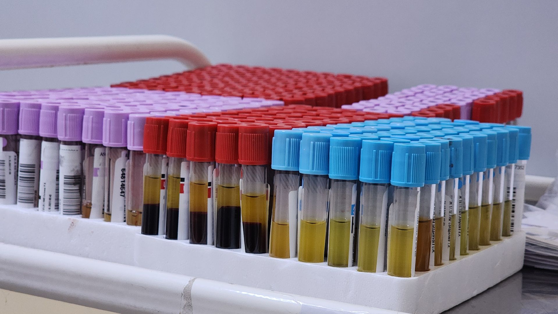 образование, медицина, профориентация, лшкола, медицинский класс, лосино-петровский,