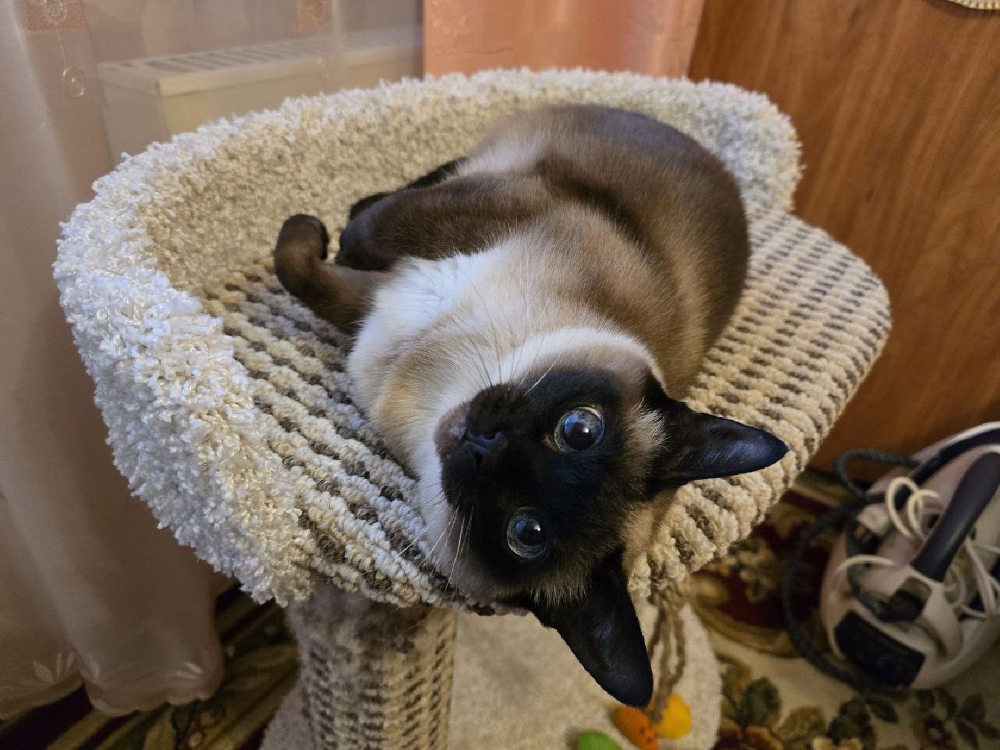 можайск, можайский муниципальный округ, подмосковье, женщина -герой, областной конкурс, финал, общество,