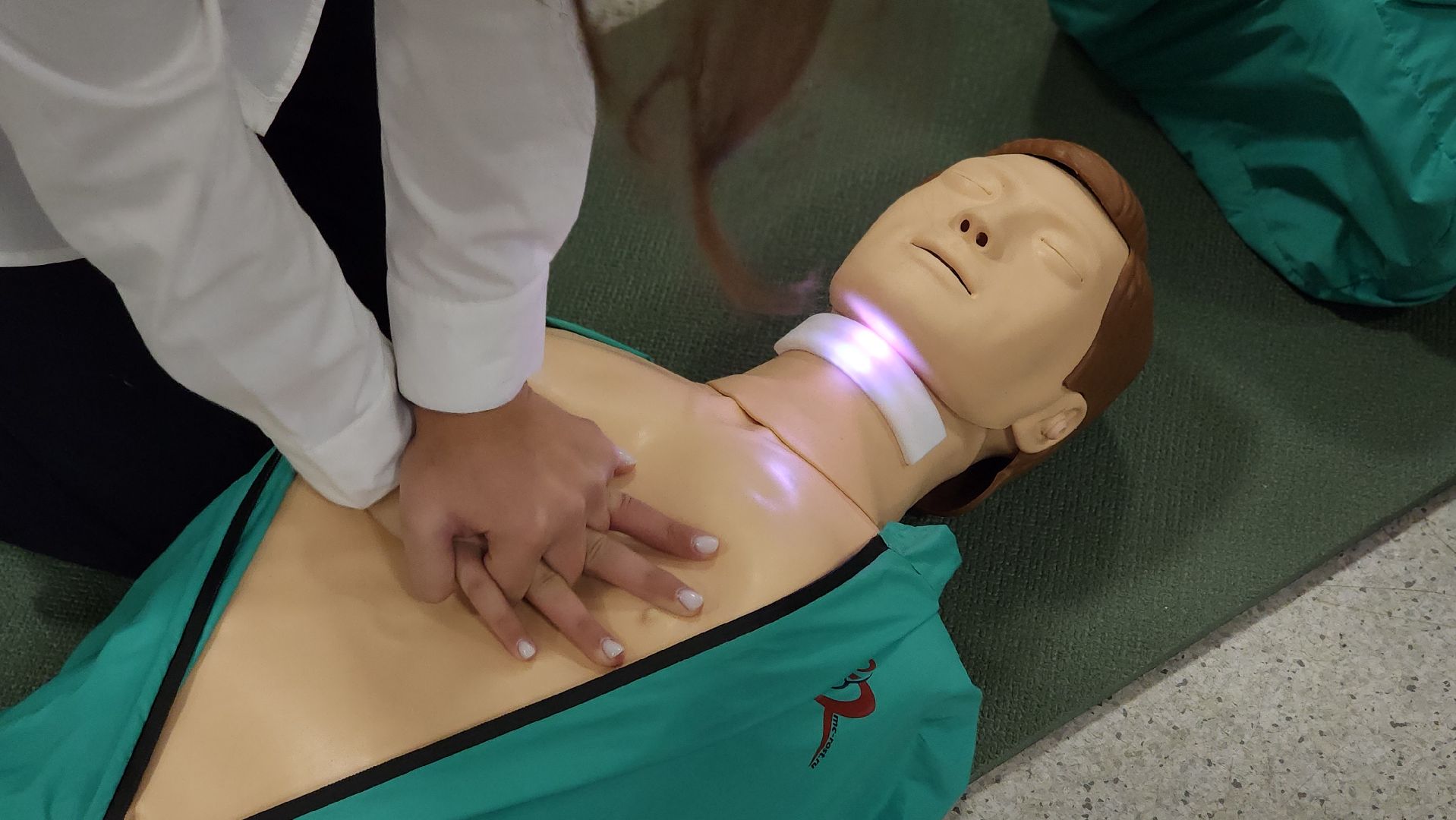 образование, дети, школа, основы безопасности, лосино-петровский,