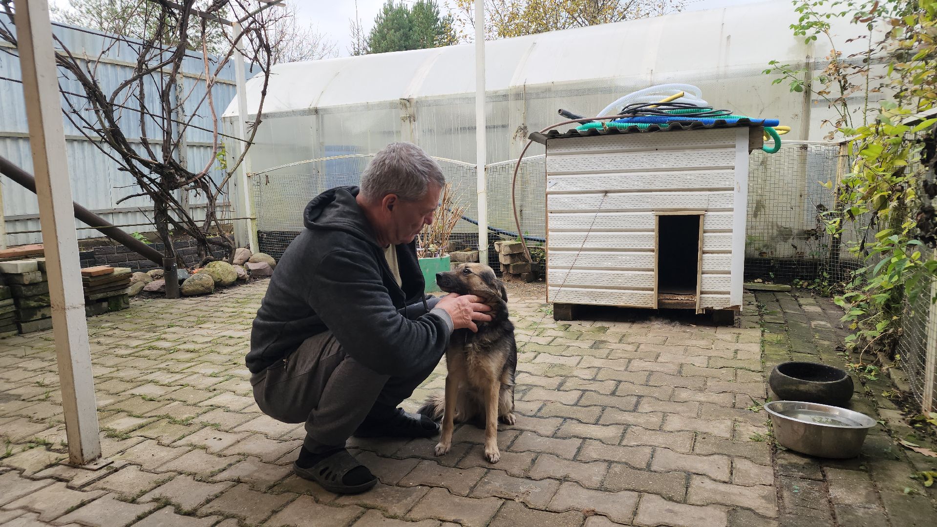 общество, телешоу, кулинария, подмосковье, лосино-петровский,