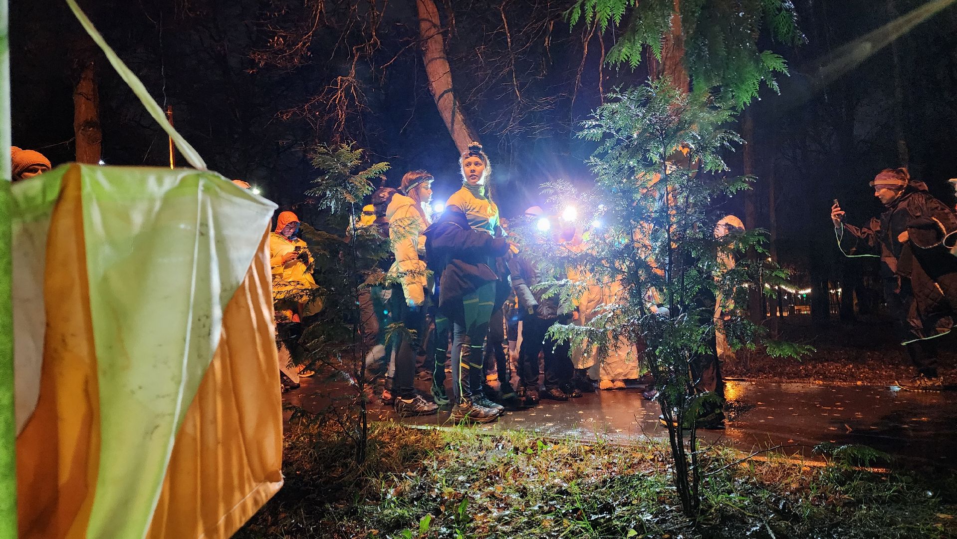 спорт, спорт и туризм, домодедово, подмосковье, туризм , ориентирование, спортивное ориентирование, парк,