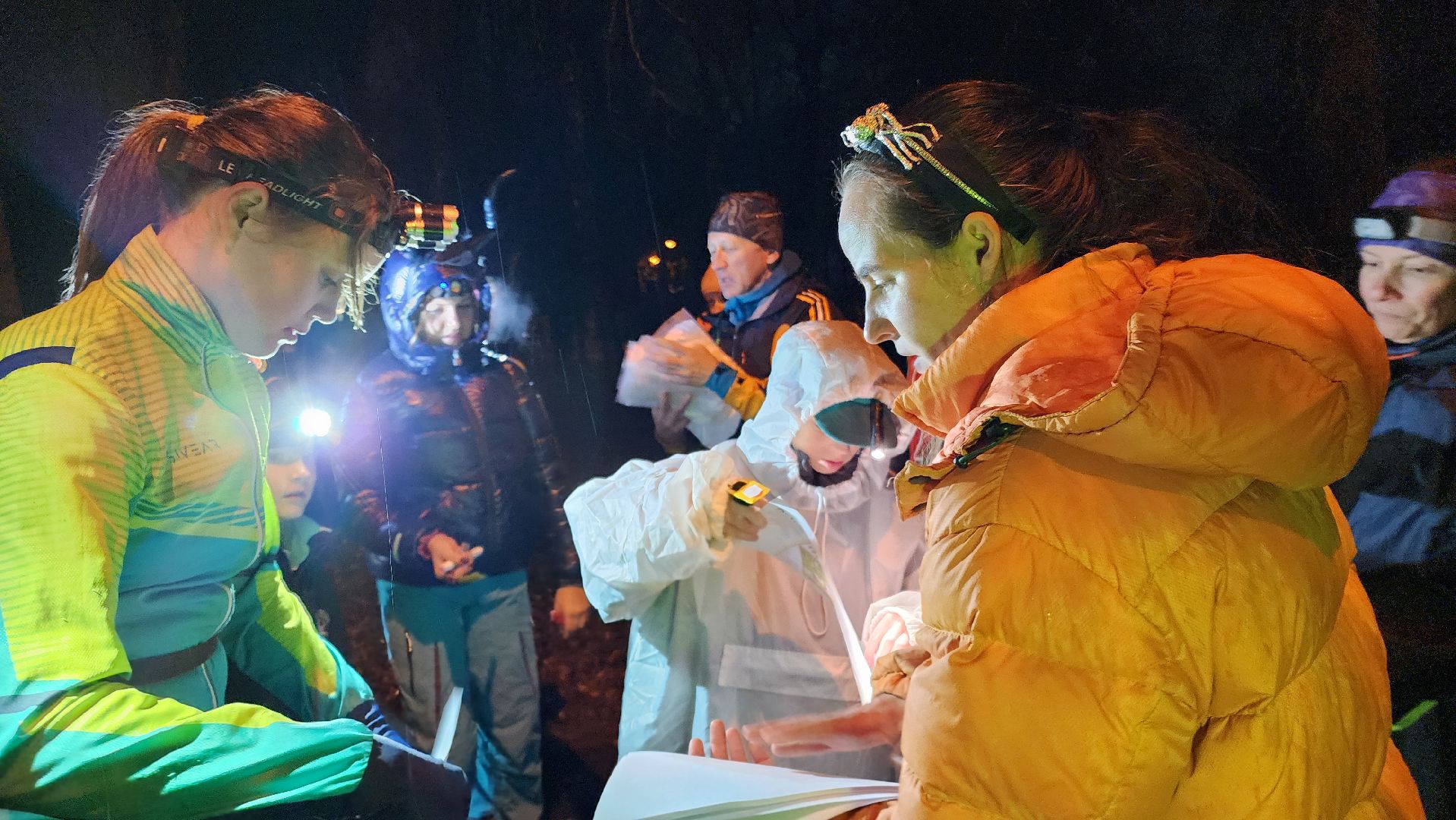 спорт, спорт и туризм, домодедово, подмосковье, туризм , ориентирование, спортивное ориентирование, парк,