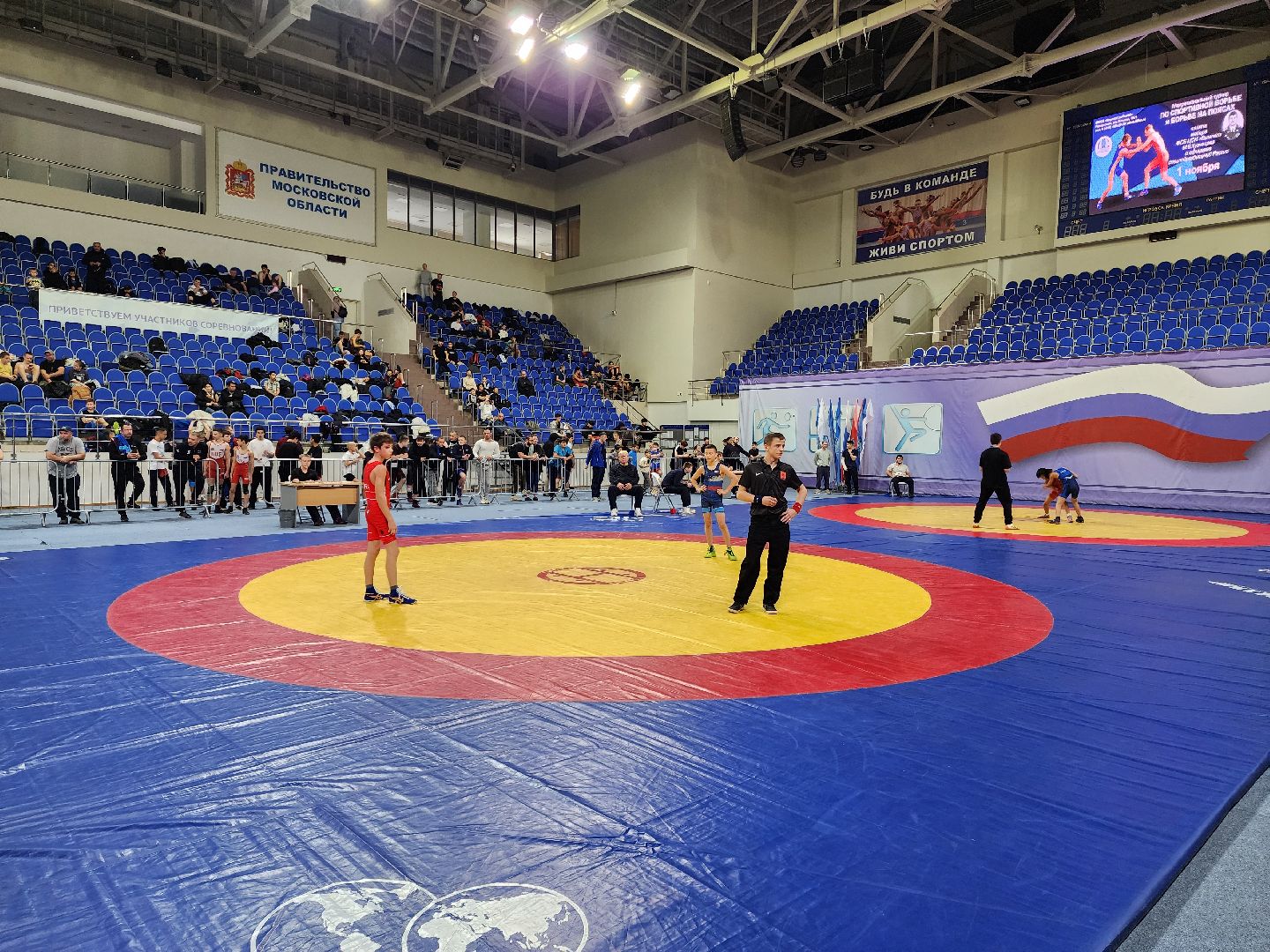 раменское, спорт, турнир по борьбе памяти майора михаила кузнецова в раменском,российский актер александр левин стал гостем турнира по трем видам борьбы в раменском,