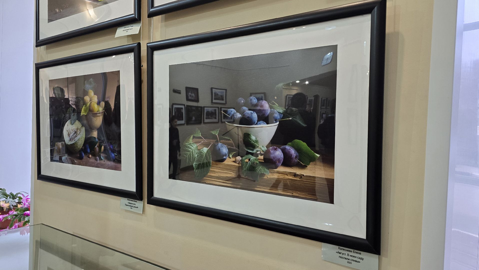 Коломна, выставка фотографий,