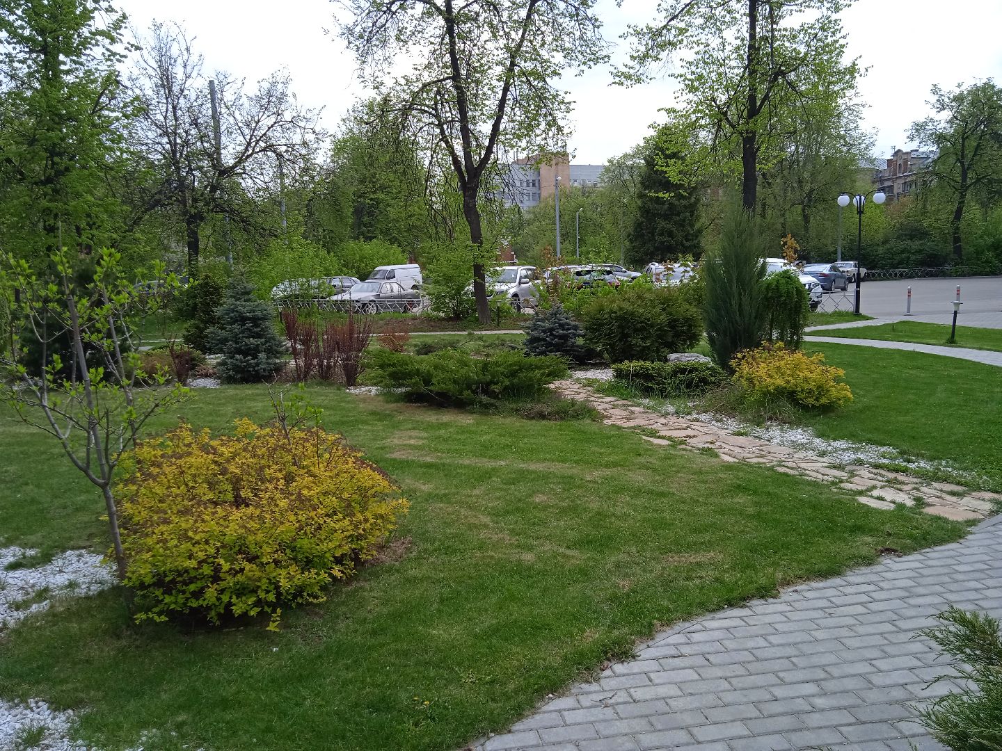 Дружба, отель, ландшафтный, дизайн, территория