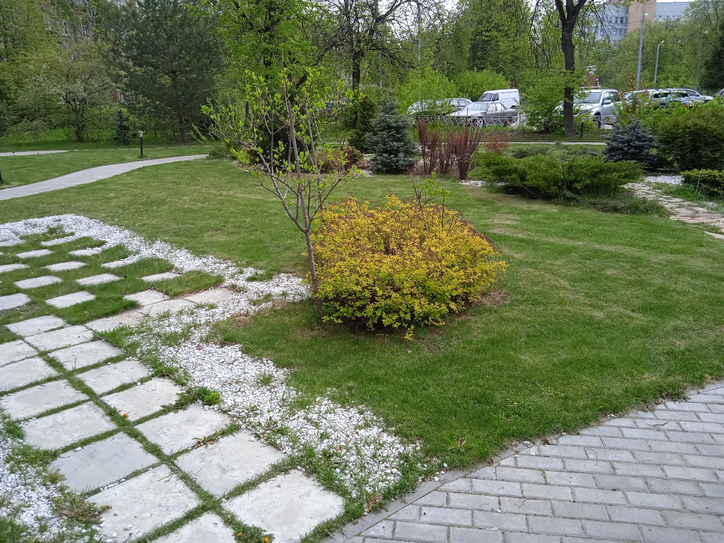 Дружба, отель, ландшафтный, дизайн, территория