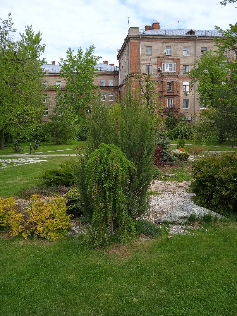 Дружба, отель, ландшафтный, дизайн, территория