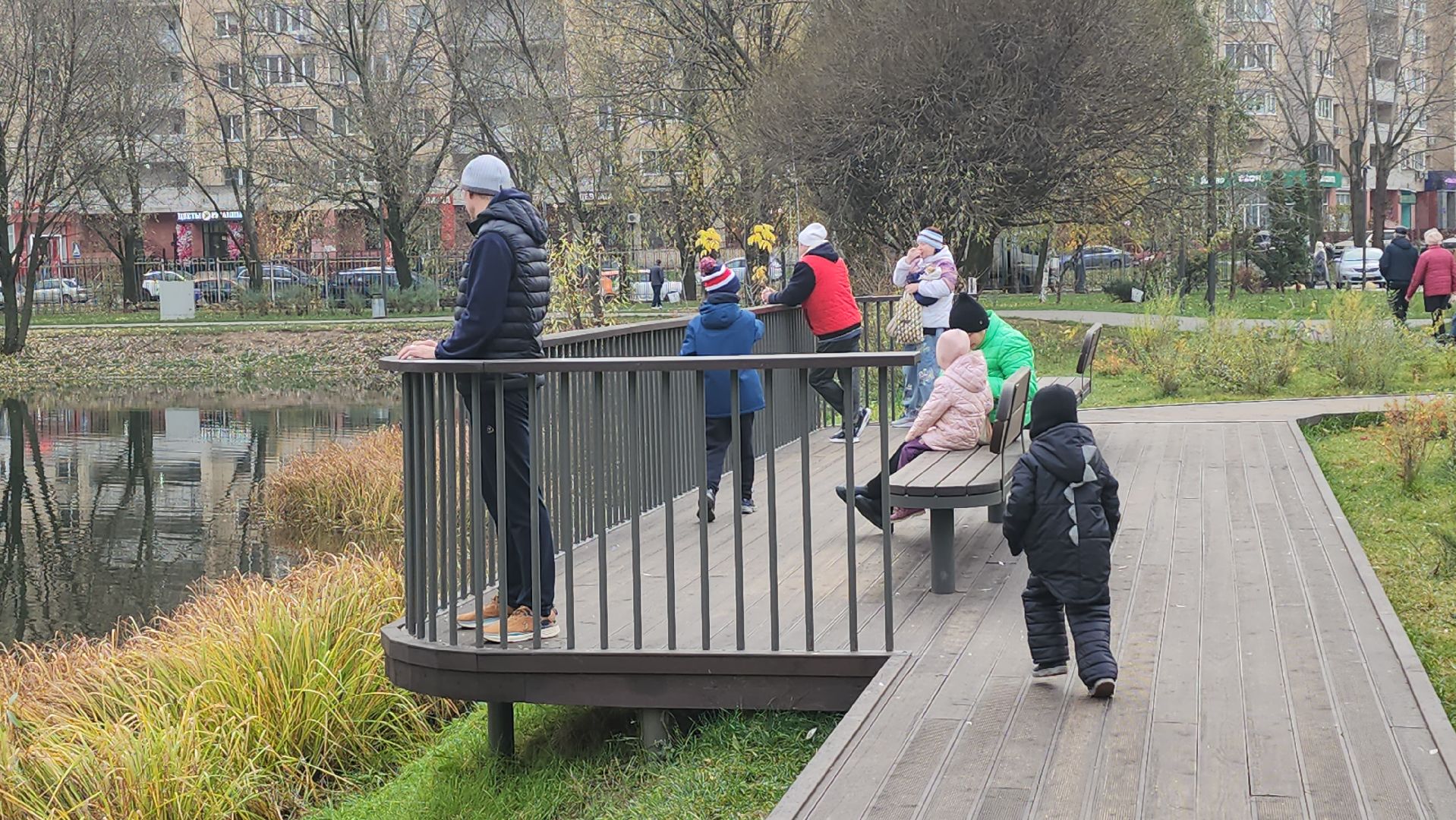 Люберцы, день народного  единства, наташинский парк,