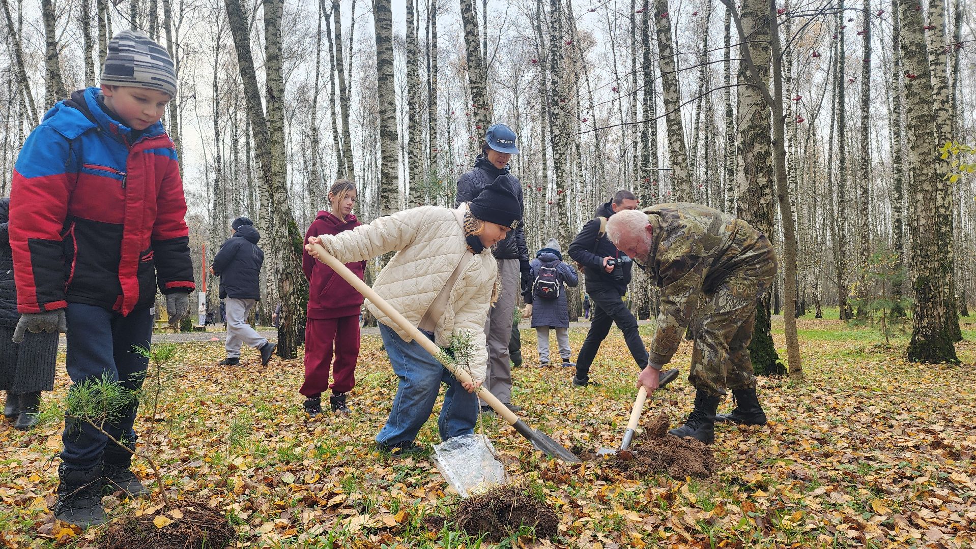 парк, городской лес, парк культуры, юбилей, дети, семья, домодедово, подмосковье , спорт, пять верст,