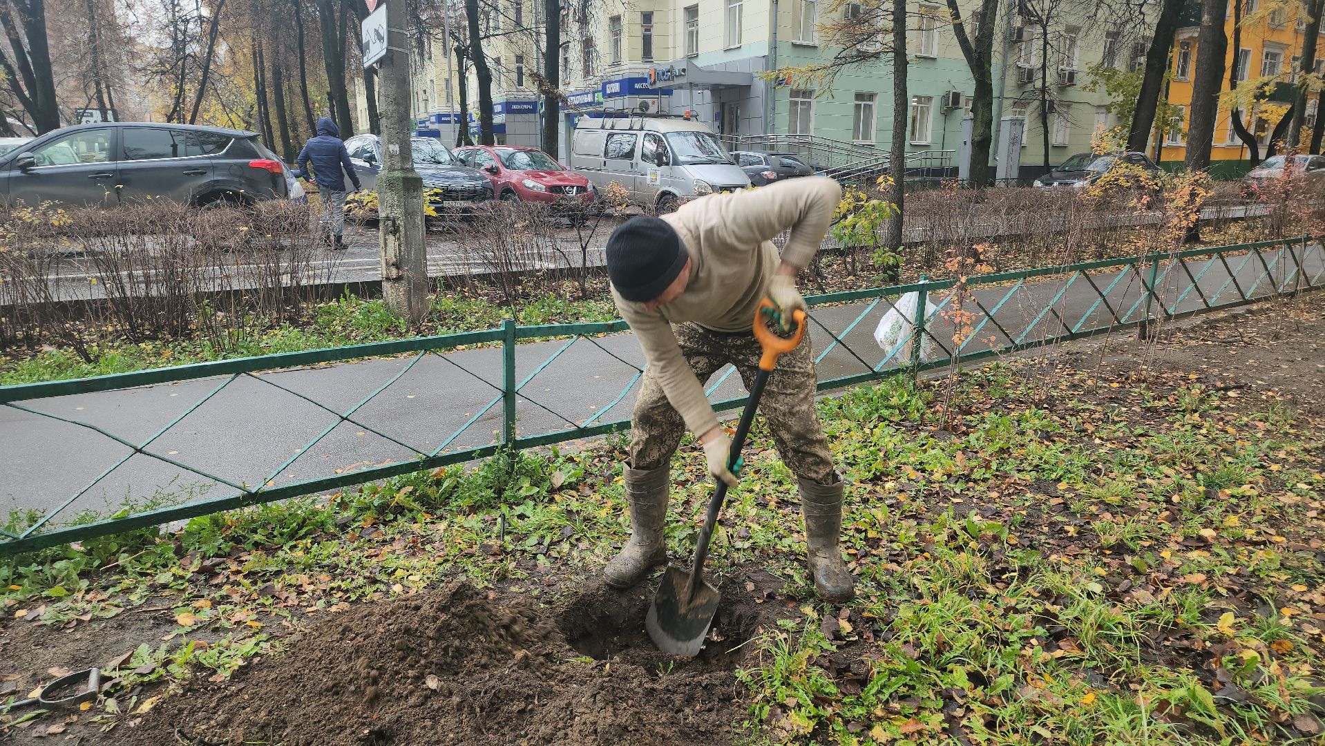 Люберцы, посадка деревьев, посадка кустарников,