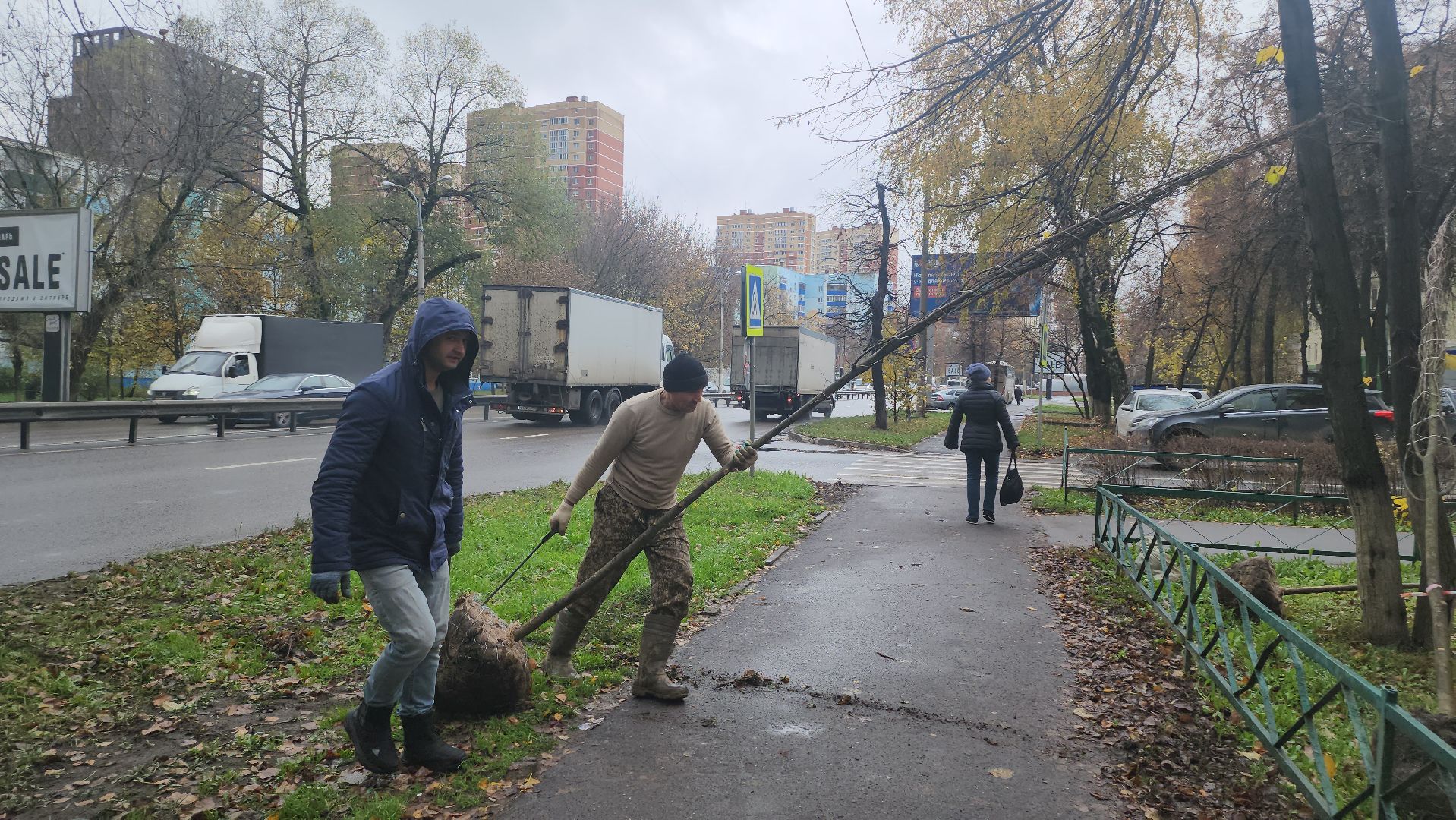 Люберцы, посадка деревьев, посадка кустарников,