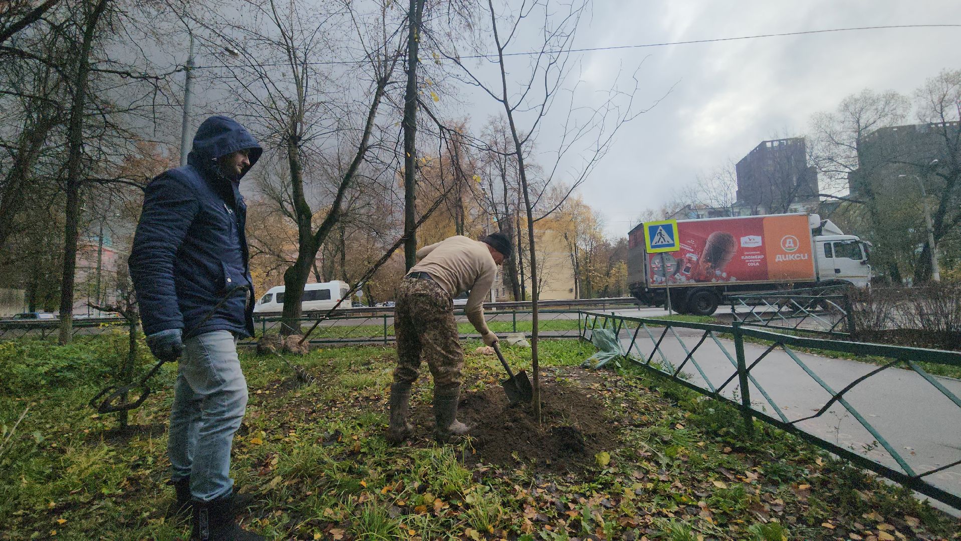 Люберцы, посадка деревьев, посадка кустарников,