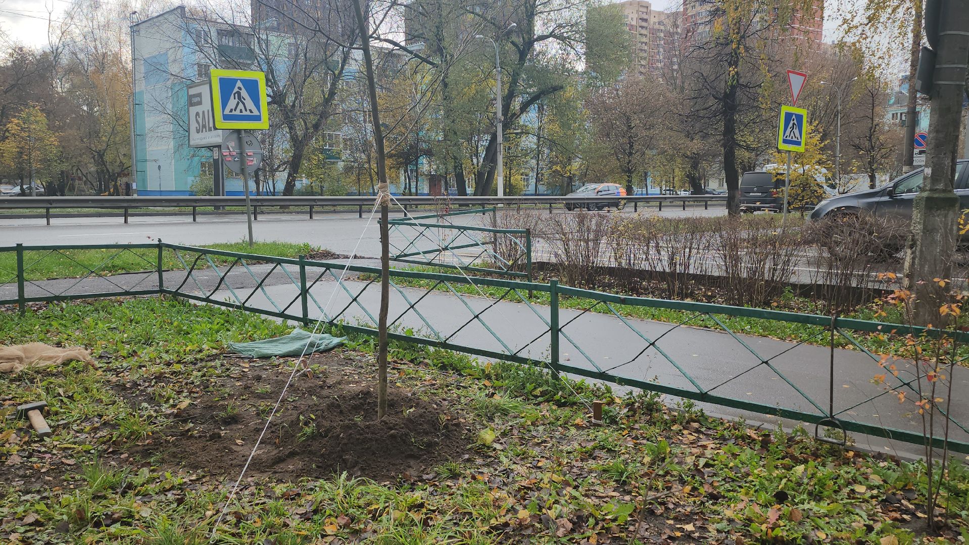 Люберцы, посадка деревьев, посадка кустарников,