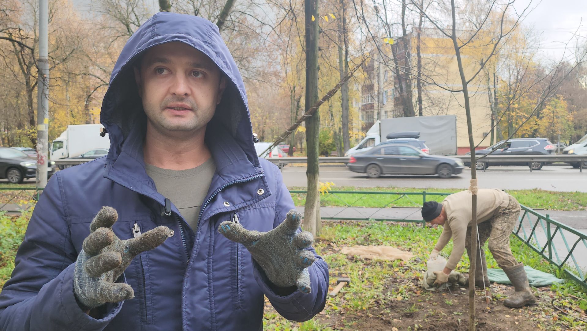 Люберцы, посадка деревьев, посадка кустарников,