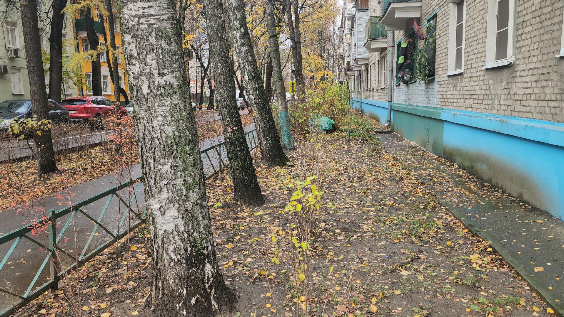 Люберцы, посадка деревьев, посадка кустарников,