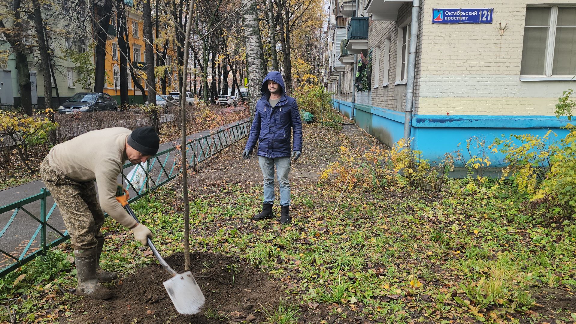Люберцы, посадка деревьев, посадка кустарников,