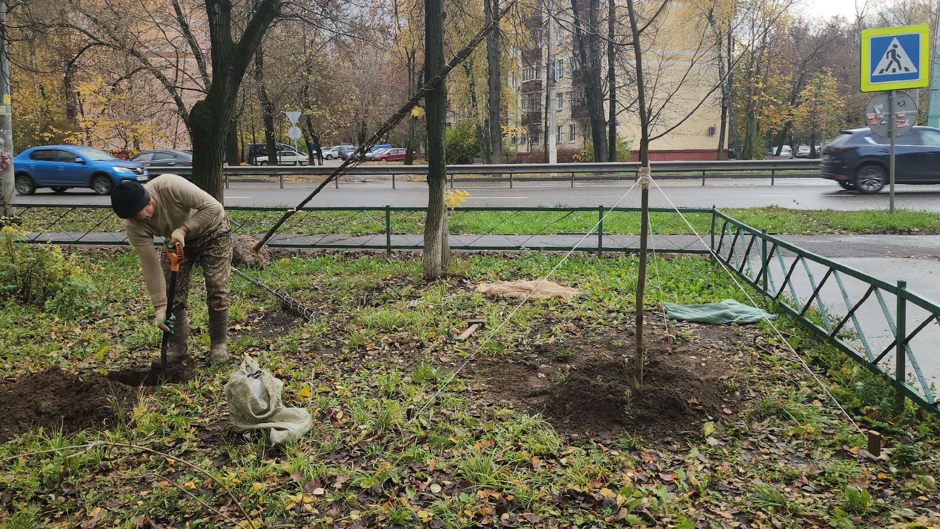 Люберцы, посадка деревьев, посадка кустарников,