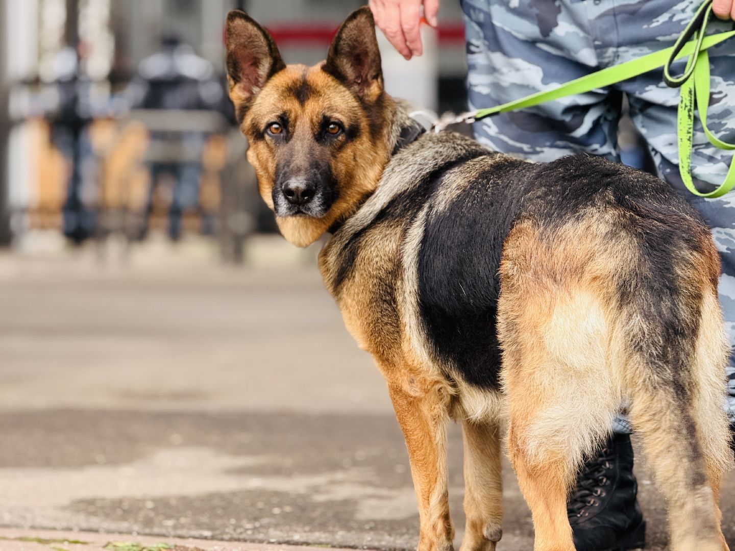 футбол, сатурн, раменский сатурн, раменское,
