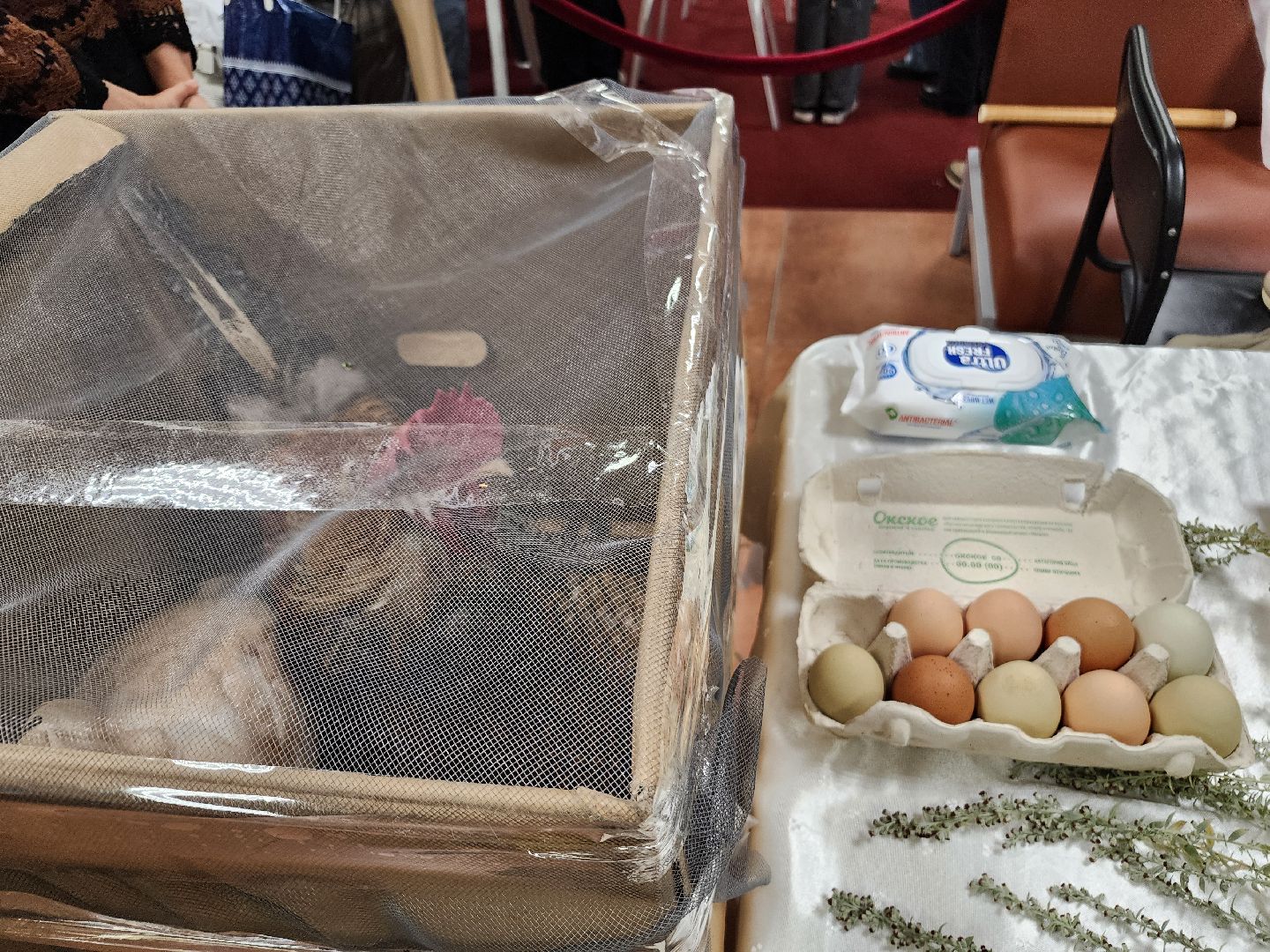 фрязино, праздник урожая, кабачок, дары осени, фестиваль-конкурс,