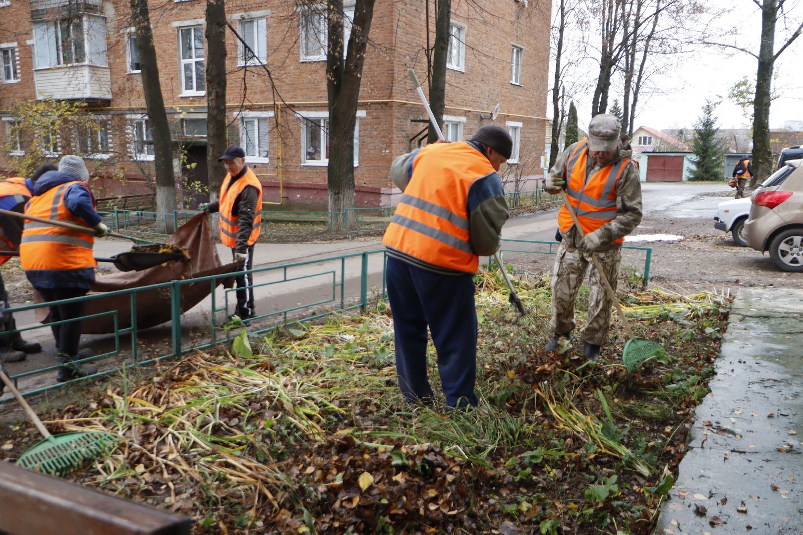 зарайск, жкх,  яндекс вектор,