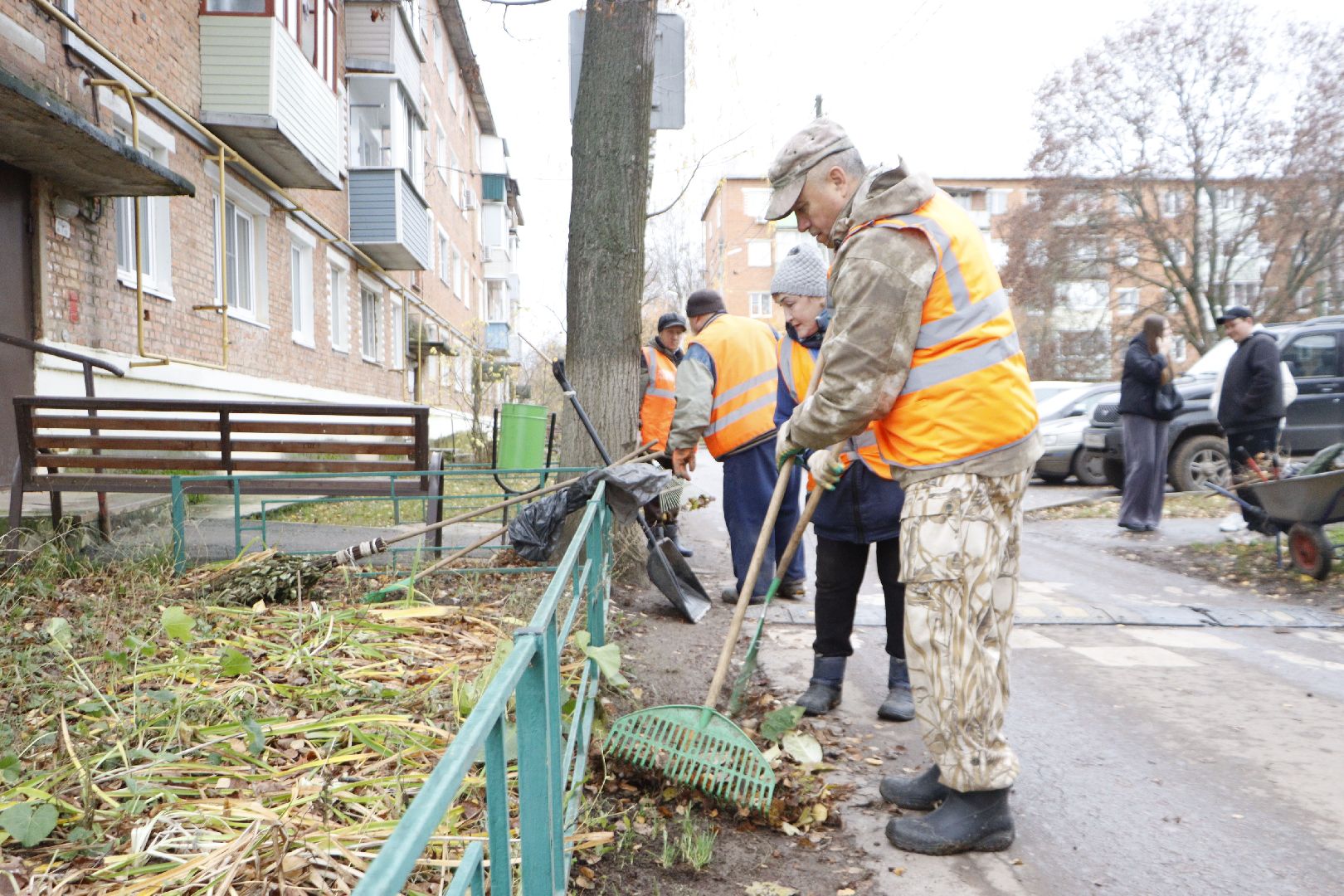 зарайск, жкх,  яндекс вектор,