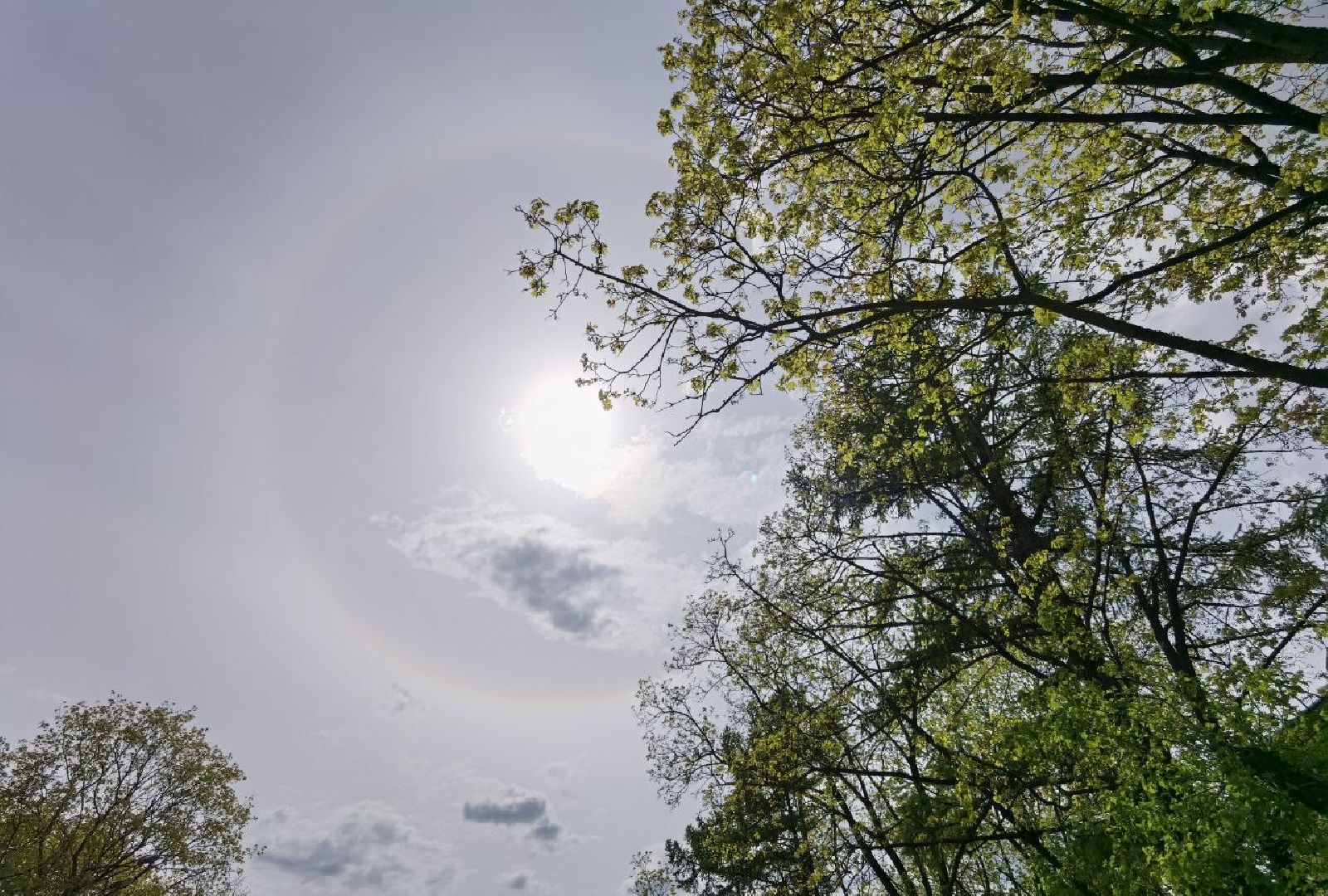 Сергиев Посад, Сергиево-Посадский городской округ, Погода, Гало, Город, Жители, Атмосферное явление