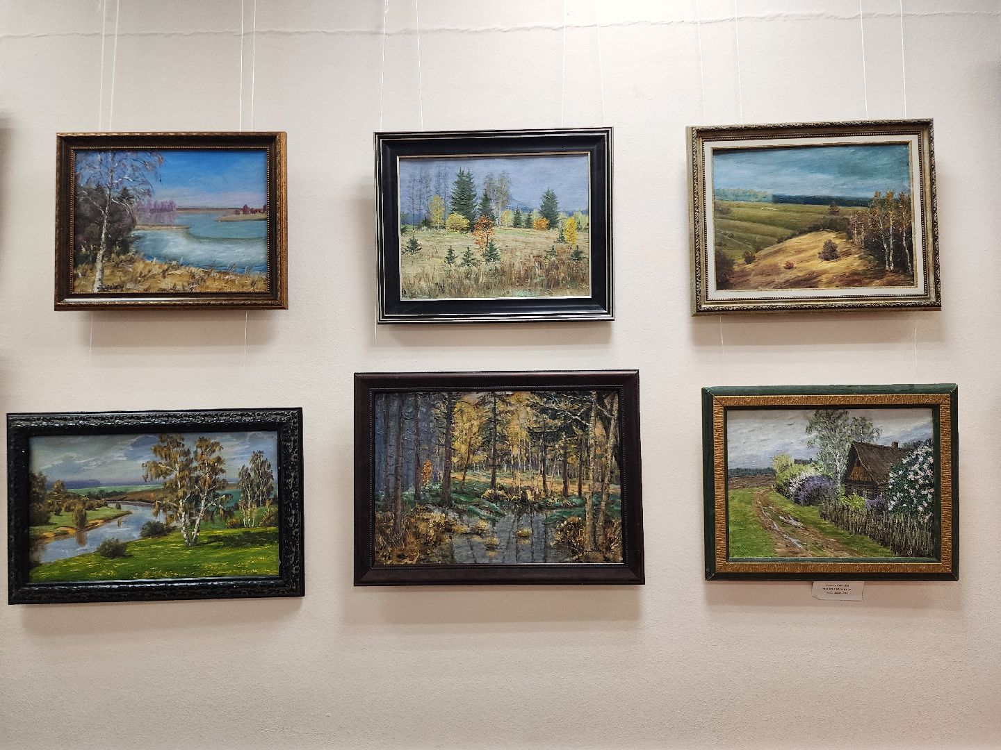 выставка, художник, центр культуры, ногинск, богородский городский округ,