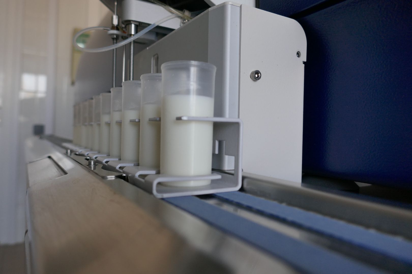 Подольск, наука, молоко, исследования