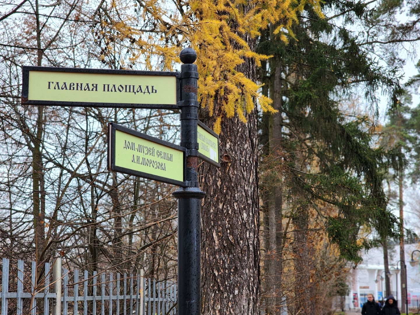 кофейня, кофе , парк, ногинск, богородский городский округ,