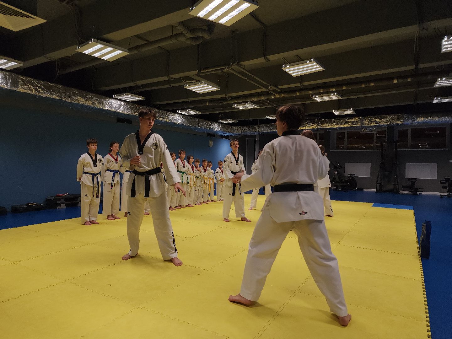 Черноголовка, Тхэквондо, Спорт,