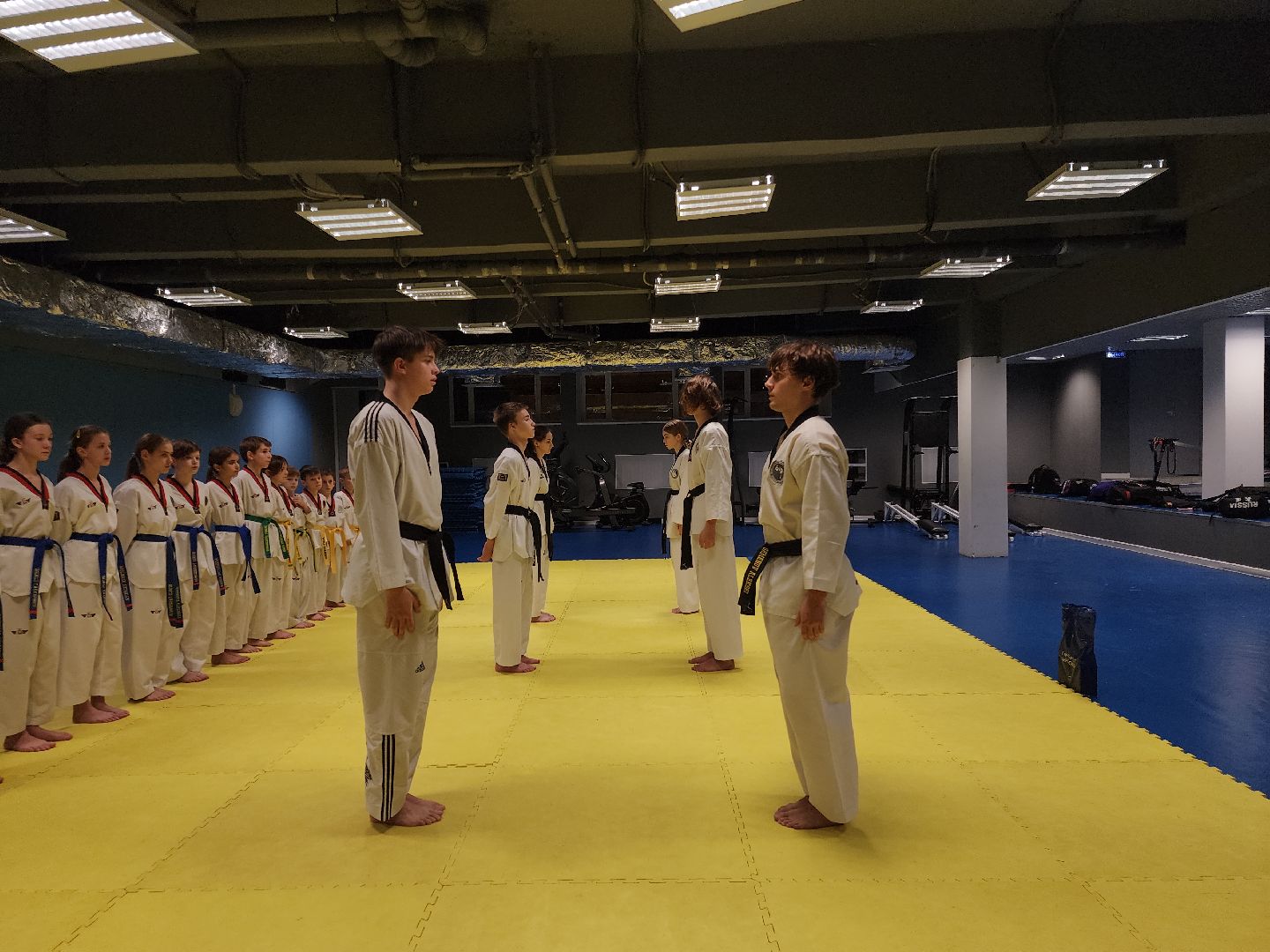 Черноголовка, Тхэквондо, Спорт,