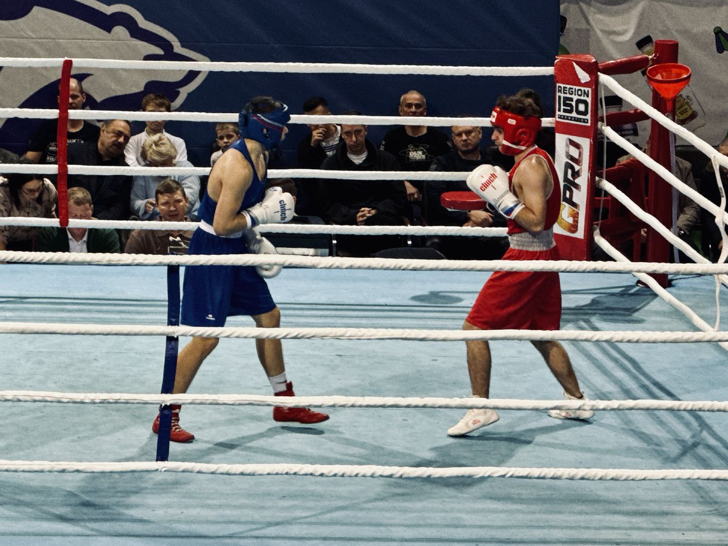 раменское, кикбоксинг, фестиваль бокса и кикбоксинга, дворец спорта борисоглебский,