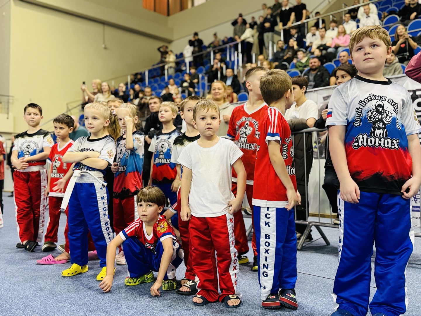 раменское, кикбоксинг, фестиваль бокса и кикбоксинга, дворец спорта борисоглебский,