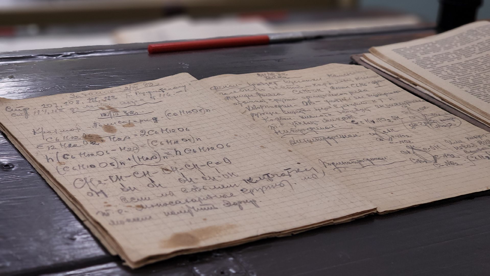 Руза , Петрищево, Музей Зоя , День народного единства ,