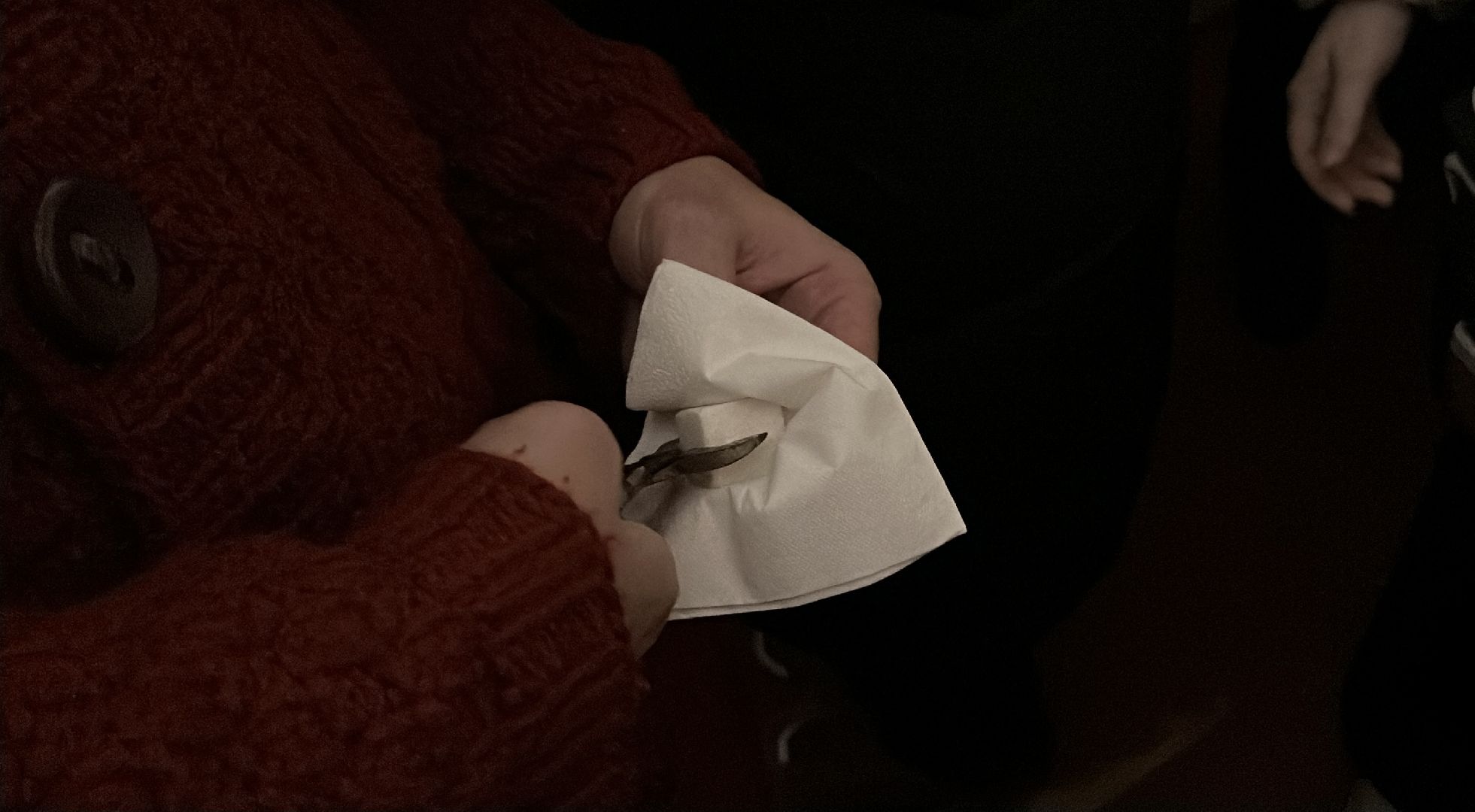 ночь искусств, усадьба мураново, культура, туризм, экскурсии,