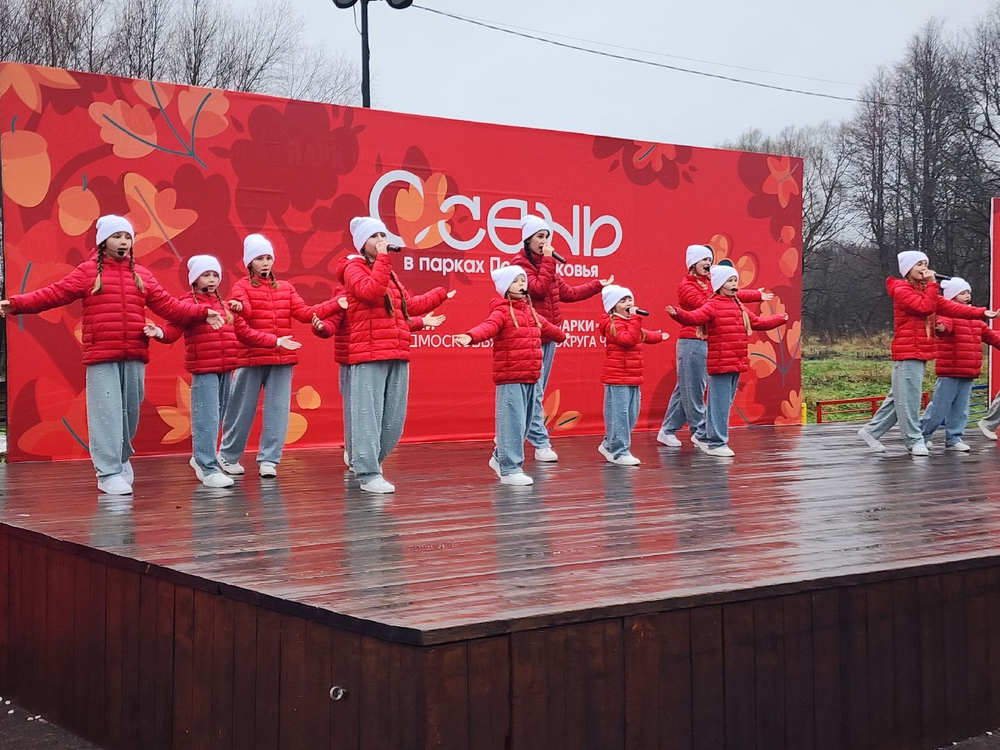 чехов, улица пушкина, городской парк, день народного  единства, праздник, программа россия родина единство, концерт, музыкальная программа,  народные гуляния и забавы, игровая программа, анимация, мастер-классы, конкурсы и викторины,ансамбль авангард, ансамбль подмосковный сувенир, песни и танцы, патриотические акции, флаги народов россии,