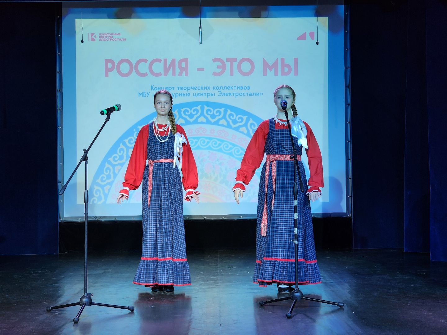 Электросталь , Жители , Праздник , день народного  единства, Общество, Концерт,