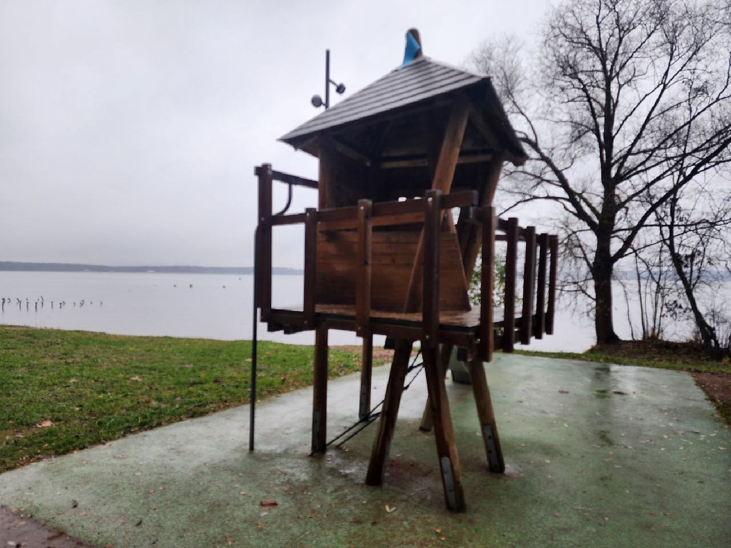 солнечногорск, общество, праздник, единство,