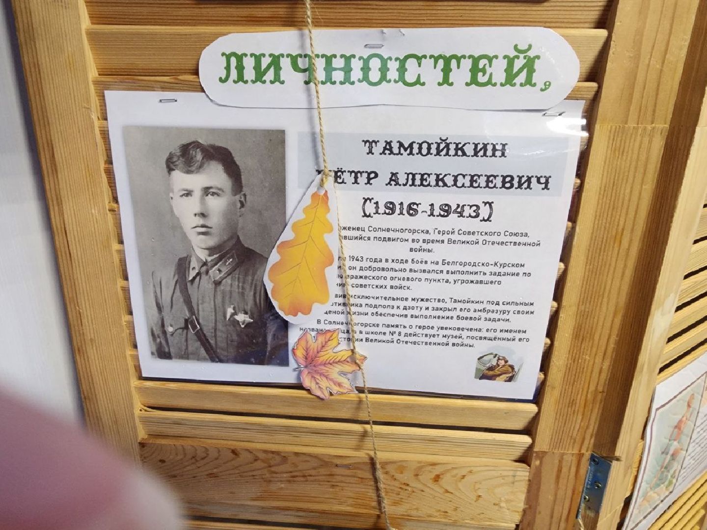 солнечногорск, общество, праздник, единство,