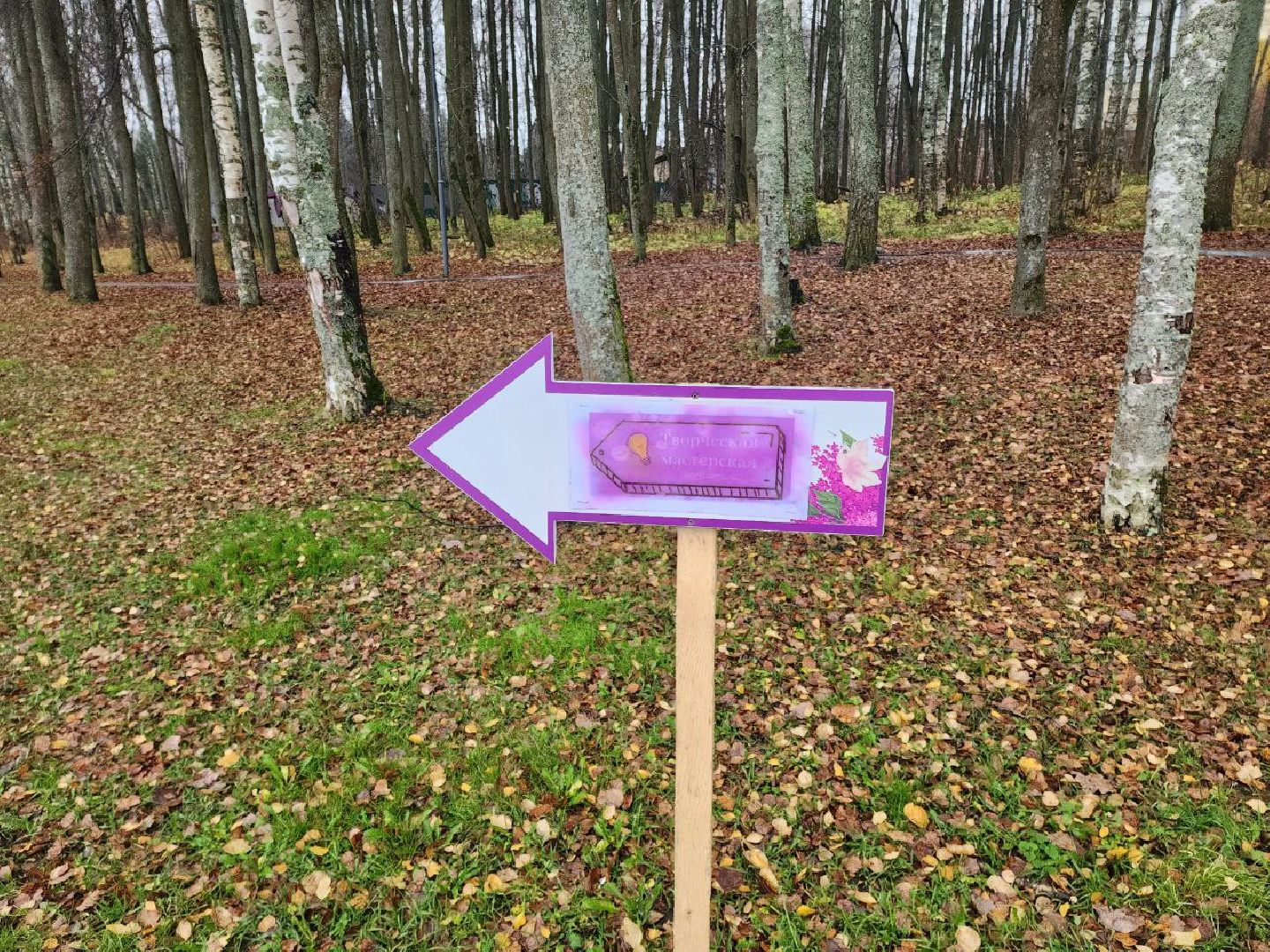 солнечногорск, общество, праздник, единство,