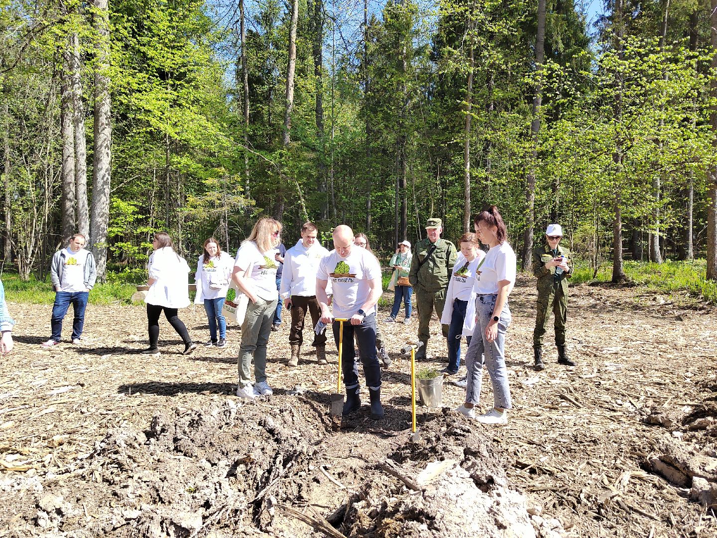 Пушкино, Ельдигино, Лес Победы,