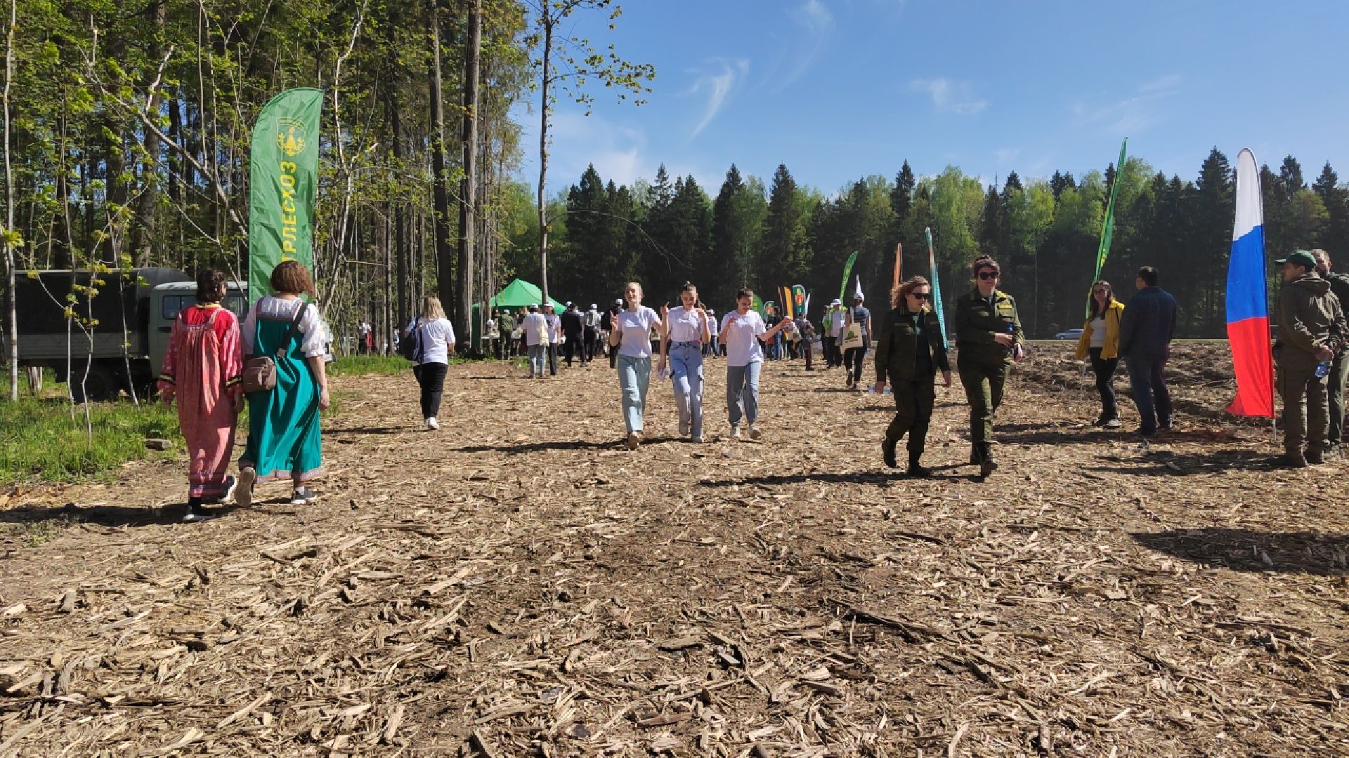 Пушкино, Ельдигино, Лес Победы,